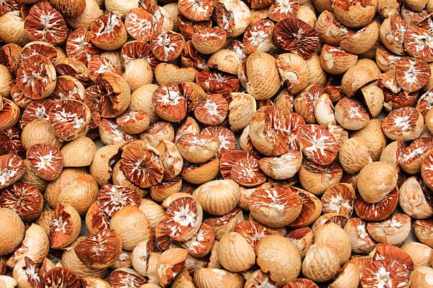 Betel Nut