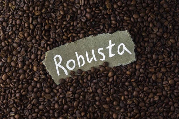 Robusta Coffee Beans